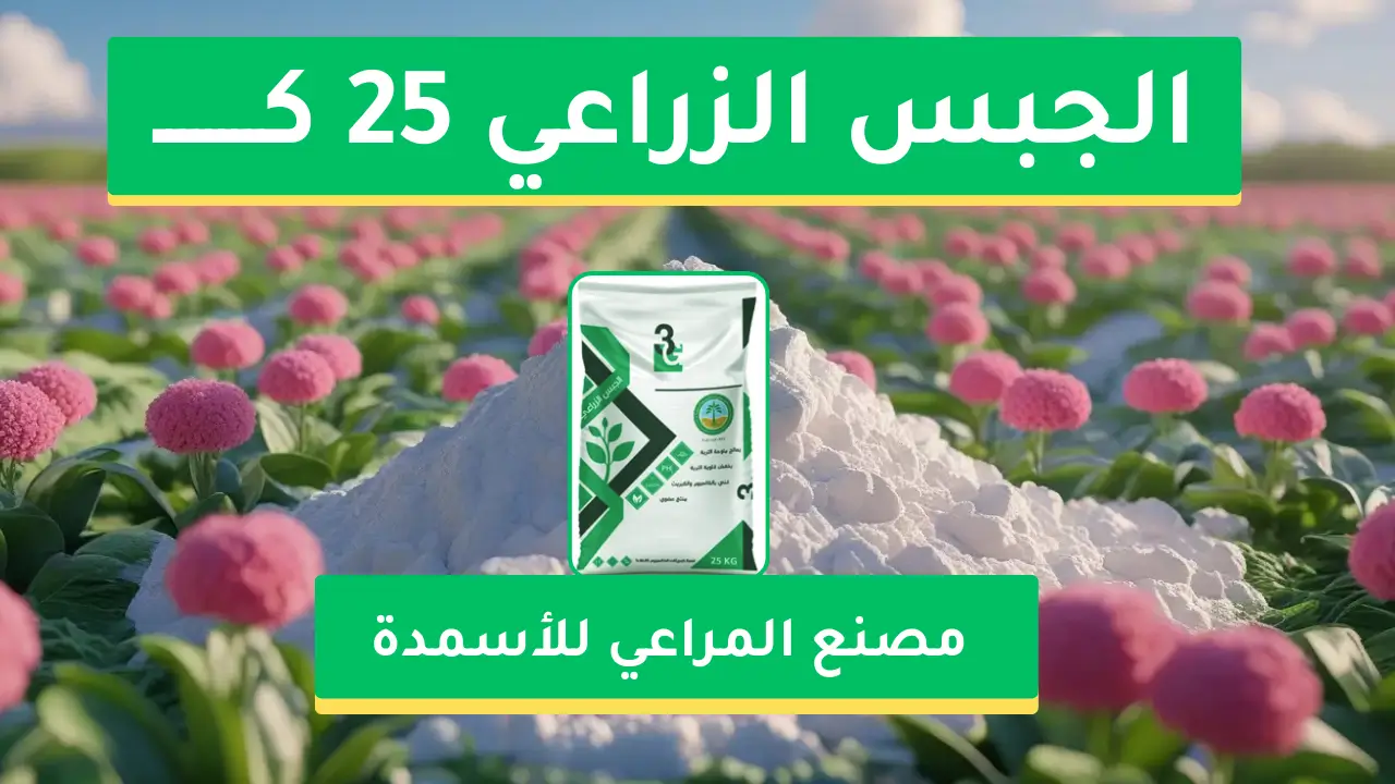 الجبس الزراعي: الحل الطبيعي لتحسين التربة وزيادة الإنتاج الزراعي