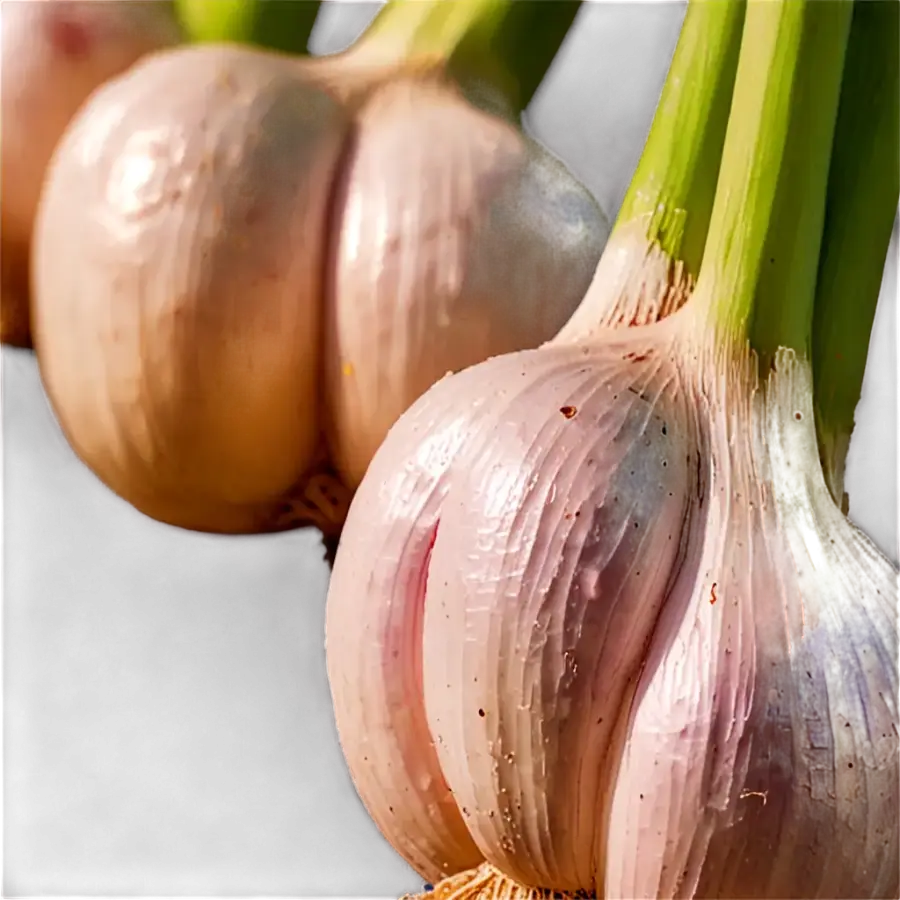 لقطة قريبة لرأسي ثوم بسيقان خضراء سميكة