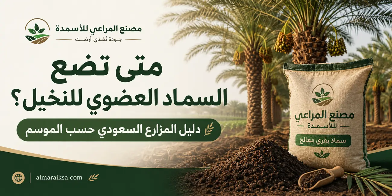 متى تضع السماد العضوي للنخيل؟ دليل المزارع السعودي حسب الموسم