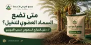 متى تضع السماد العضوي للنخيل؟ دليل المزارع السعودي حسب الموسم