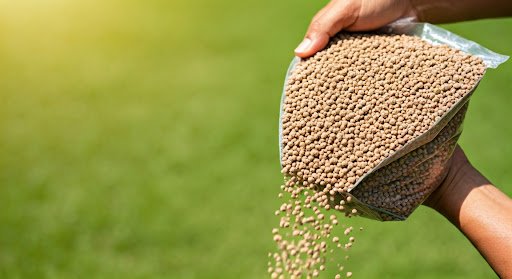 يدان تفرغان حبيبات السماد من كيس على أرض عشبية