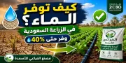 تقليل استهلاك الماء في الزراعة وزيادة الإنتاج في السعودية