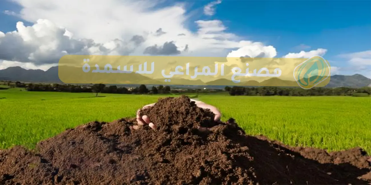 كيف تزيد من إنتاج العلف الأخضر باستخدام السماد العضوي؟