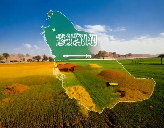 الدليل المتقدم للزراعة المستدامة في المملكة العربية السعودية باستخدام منتجات مصنع المراعي للأسمدة