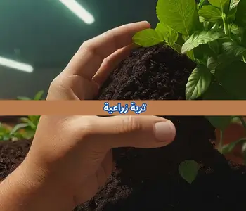مصنع المراعي للاسمدة promo