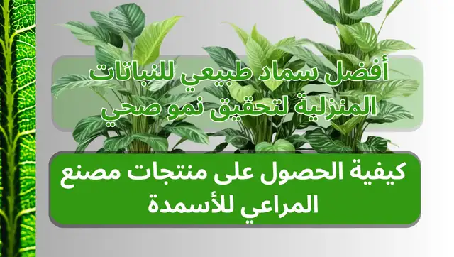 أفضل سماد طبيعي للنباتات المنزلية لتحقيق نمو صحي