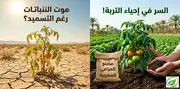 لماذا يموت نبتك رغم التسميد؟ 9 أسباب خفية يعرفها كبار المزارعين في السعودية — ولا يقولها السوق