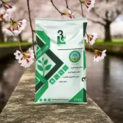 الجبس الزراعي 25 ك